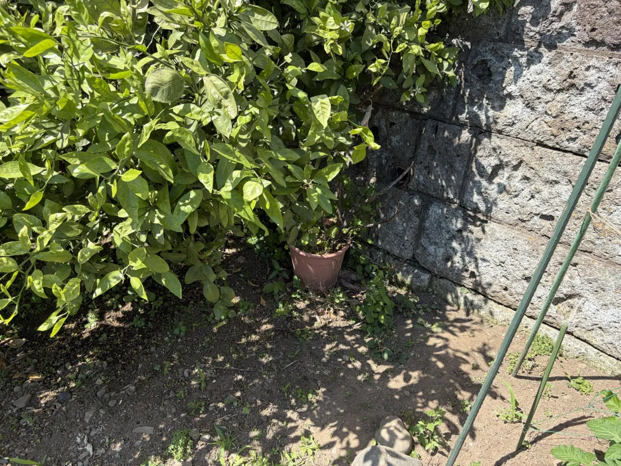 屋外立水栓増設工事